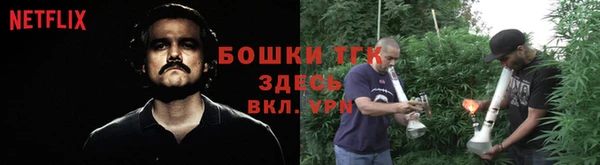 стаф Белоозёрский