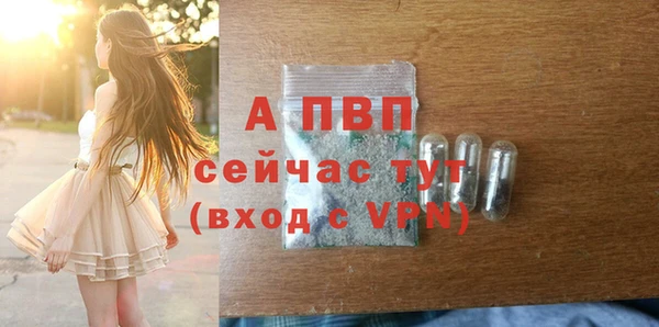 спайс Беломорск