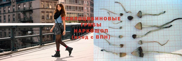 спайс Беломорск