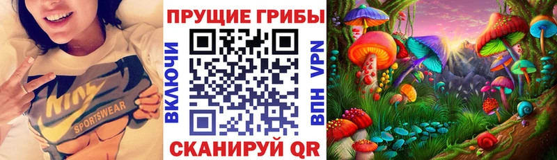 закладка  Чернушка  Псилоцибиновые грибы прущие грибы 