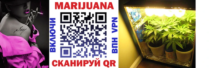 Шишки марихуана Ganja Чернушка